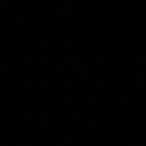 Meet your Posher, Calistine